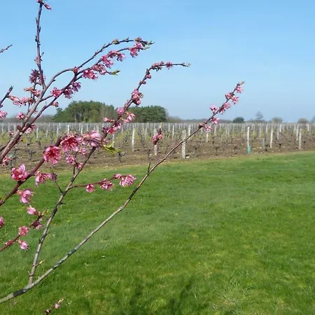 Villa l'Ecrin au coeur des vignes à Saint-Georges-sur-Cher Extérieur photo